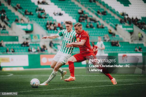 Pascal Fallmann Sk Rapid Wien Photos and Premium High Res Pictures - Getty Images