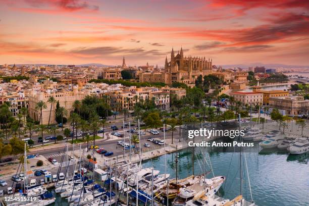 aerial view of the cathedral of santa maria of palma. mallorca, spain. - islas baleares fotografías e imágenes de stock