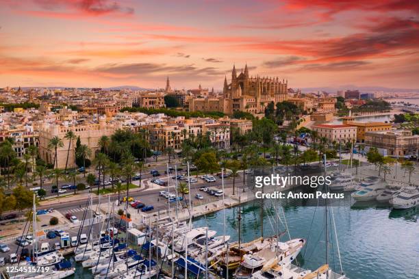 aerial view of the cathedral of santa maria of palma. mallorca, spain. - palma majorca stock pictures, royalty-free photos & images