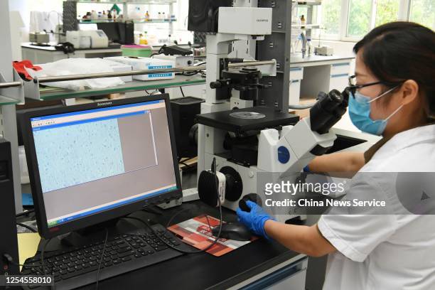 Scientific researcher projects brain tissue under the microscope onto the computer screen on July 2, 2020 in Hefei, Anhui Province of China. 'Chinese...