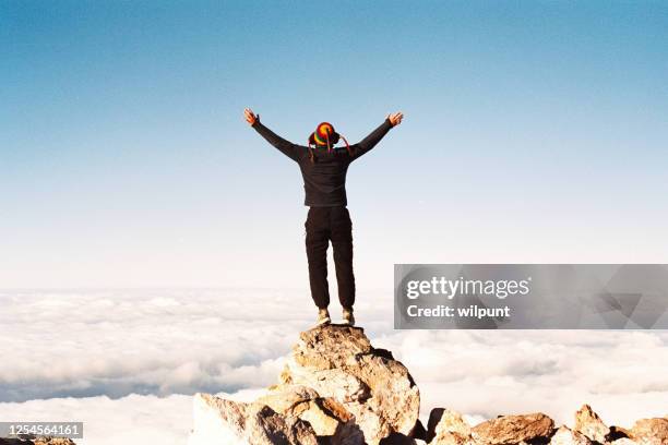 hombre de visión trasera brazos extendidos en la cima del monte taranaki egmont - punto de referencia natural fotografías e imágenes de stock