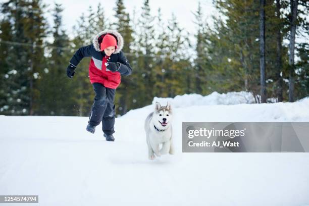 ich werde dich holen! - boy running with dog stock-fotos und bilder