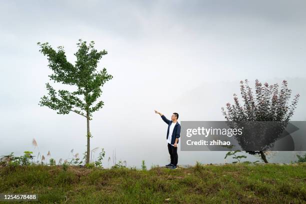 一年輕的東亞男人用手指著一顆銀杏樹 - gone fishing sign stock pictures, royalty-free photos & images