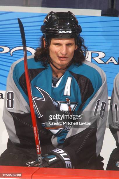 Mike Ricci of the San Jose Sharks looks on during a NHL hockey game against the Washington Capitals at MCI Center on November 19, 2002 in Washington,...
