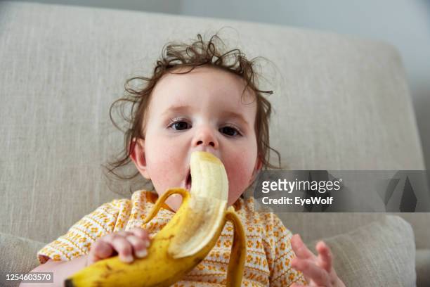 a baby sitting in a chair eating a banana - baby being fed stock pictures, royalty-free photos & images