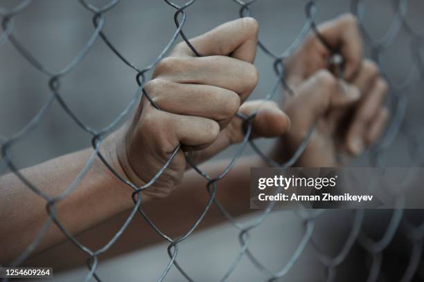 hands of prisoner behind the metal cage - slave holder stock pictures, royalty-free photos & images