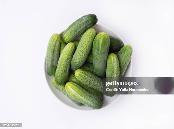 bowl with cucumbers, cucumbers on a white background, close up. fresh harvest. - sliced pickles fotografías e imágenes de stock