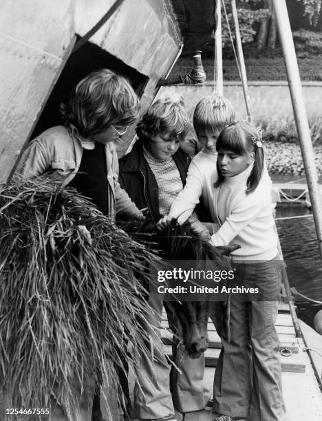 Konny und seine drei Freunde, Fernsehserie, Deutschland 1974 - 1975, Darsteller: Peer Kock, Dieter Meyer, Thies Lüders, Angelika Braut.