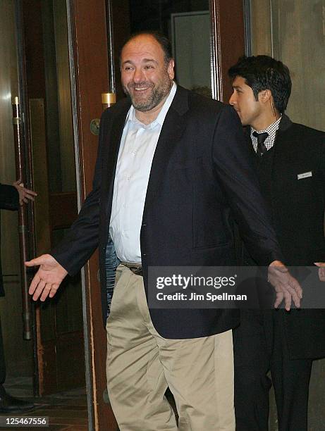 Actor James Gandolfini attends The Cinema Society & Everlon Diamond Knot Collection screening of "Welcome To The Rileys" on October 18, 2010 at the...