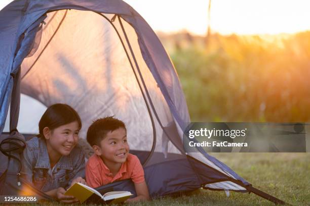 siblings die een boek in hun tent lezen terwijl het kamperen - kind camera bloemen stockfoto's en -beelden