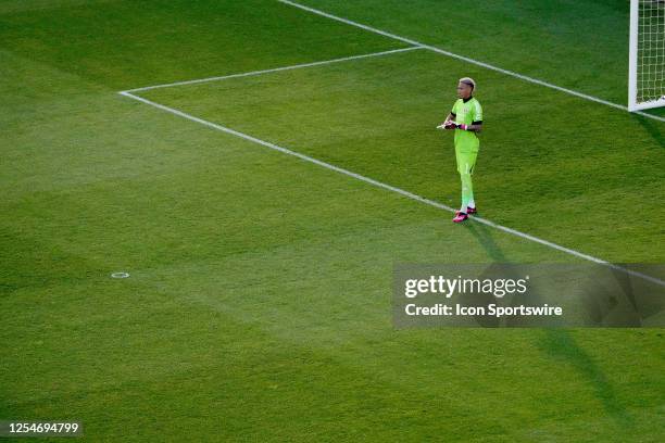 Pedro Gallese of Orlando City SC looks on during the first half against the Columbus Crew at Lower.com Field in Columbus, Ohio on May 13, 2023.