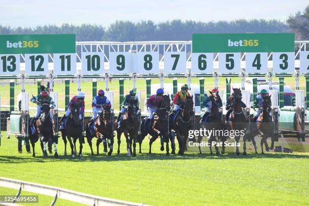 The field jumps from the barriers at the start of the Ecycle Maiden Hurdle at Casterton Racecourse on May 14, 2023 in Casterton, Australia.