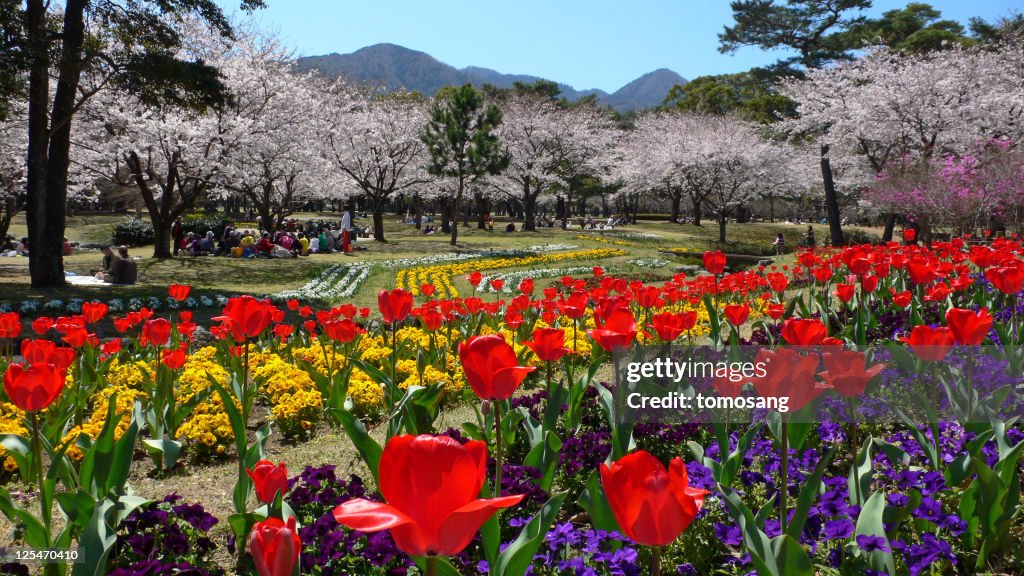 Beppu park