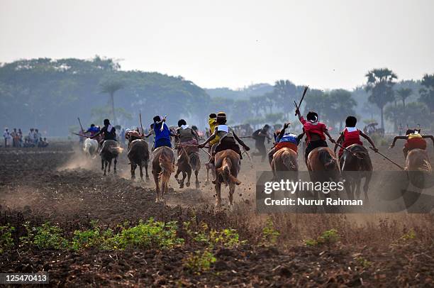 traditional horse race - poila baishakh stock pictures, royalty-free photos & images