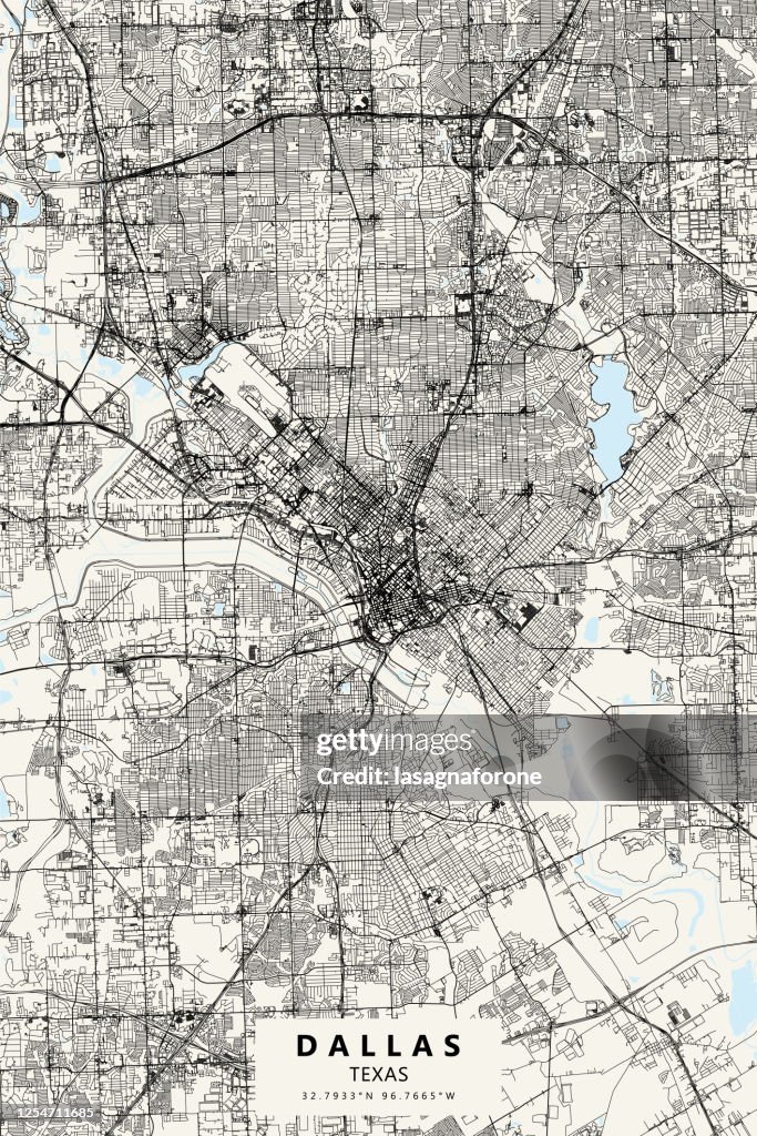 Dallas, Texas Vector Map