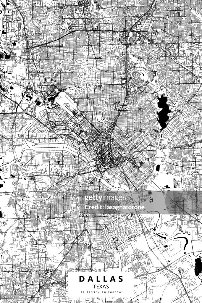 Dallas, Texas Vector Map