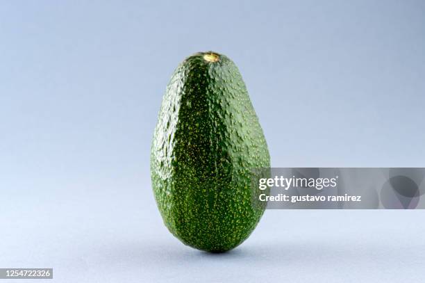 avocado fruits - avocado isolated stock-fotos und bilder