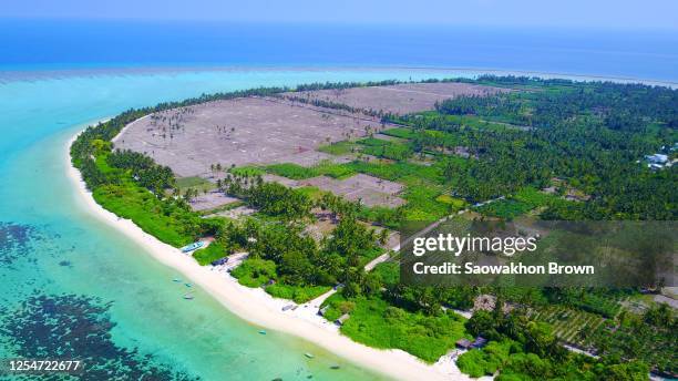 Thoddo Thoddoo Photos and Premium High Res Pictures - Getty Images