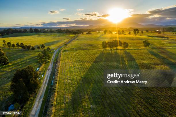 rural landscape with green field and country road at sunset - nsw landscape photos et images de collection