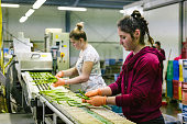 two young women are sorting asparagus at a production line