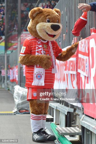 Mascot Berni of Muenchen during the Bundesliga match between FC Bayern Muenchen and FC Schalke 04 at Allianz Arena on May 13, 2023 in Munich, Germany.