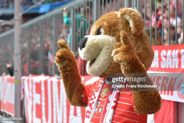 Mascot Berni of Muenchen during the Bundesliga match between FC Bayern Muenchen and FC Schalke 04 at Allianz Arena on May 13, 2023 in Munich, Germany.