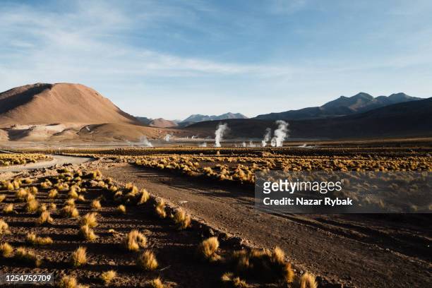 el tatio geyser field in northern chile - atacama stock pictures, royalty-free photos & images