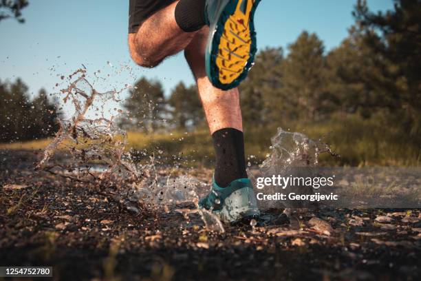 jogging matutino en un bosque - carrera de campo través fotografías e imágenes de stock