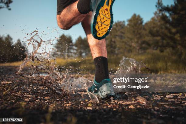 morning jogging in a forest - waterproof clothing stock pictures, royalty-free photos & images