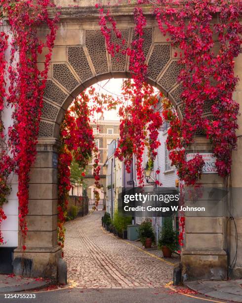 autumnal archway ii - europa ocidental imagens e fotografias de stock