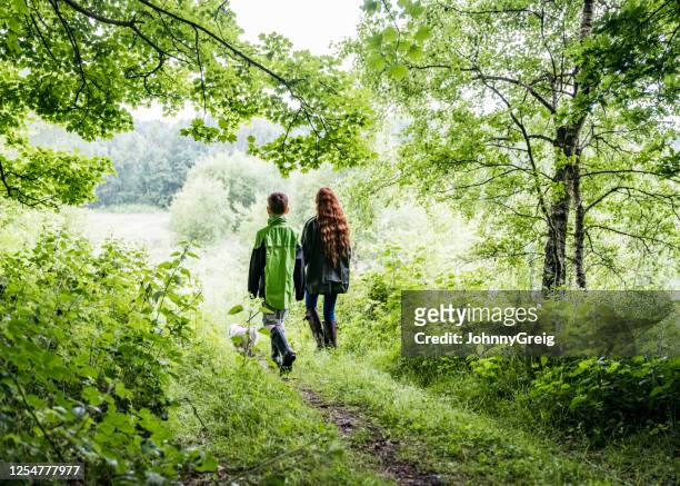 兄妹享受徒步與狗穿越森林 - 野生動物保護區 個照片及圖片檔