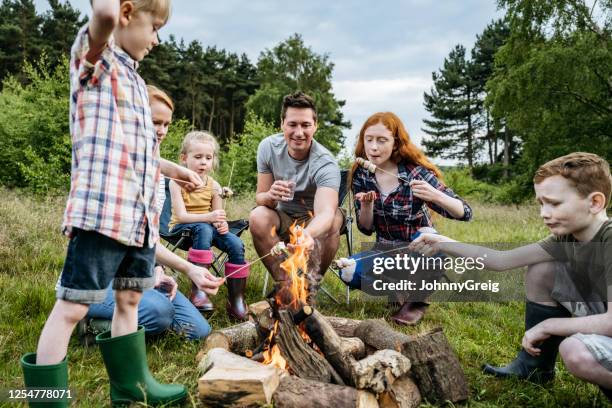 kaukasische familie röstet marshmallows über lagerfeuer - familie mit vier kindern stock-fotos und bilder