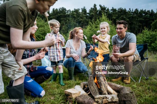 familie mit vier kindern rösten marshmallows im freien - familie mit vier kindern stock-fotos und bilder