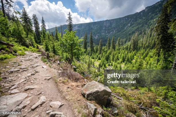 krkonose national park, czech republic - czech republic nature stock pictures, royalty-free photos & images