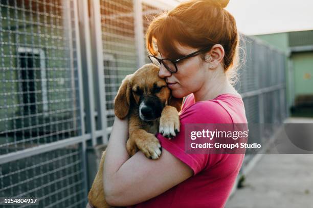 giovane donna in rifugio per animali - adoption foto e immagini stock