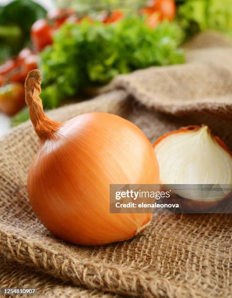 verdure succose mature - onion foto e immagini stock