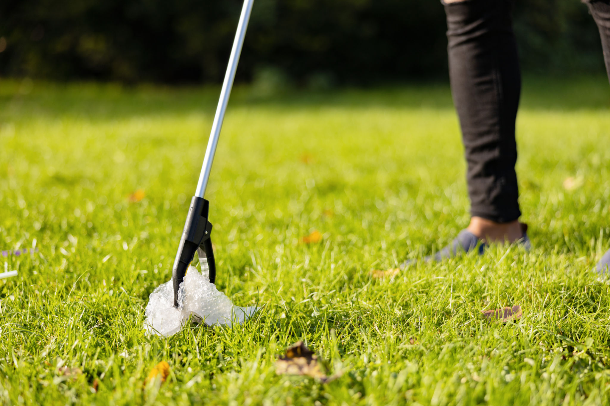 pet waste cleanup tools