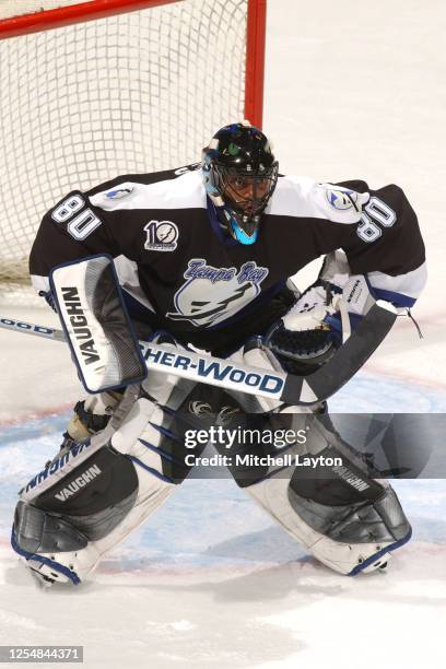 Kevin Weekes of the Tampa Bay Lightning in position during a NHL hockey game against the Washington Capitals at MCI Center on November 21, 2001 in...