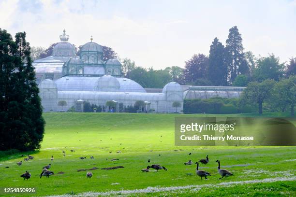 The orangerieis seen in the Palace of Laeken on May 13, 2023 in Brussels, Belgium. Designed in 1873 and built between 1874 and 1895, by Belgium...