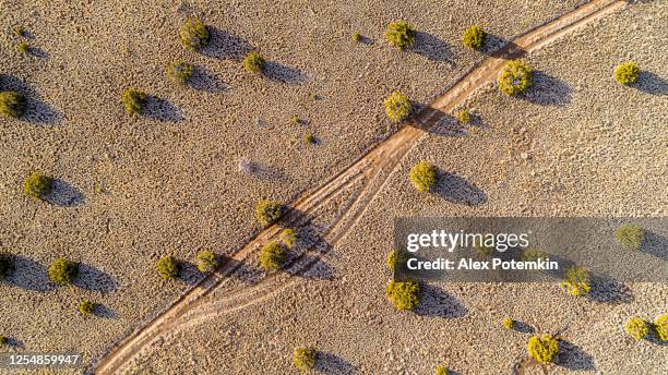 a country road in the deserted highland valley in arizona - dirt trail stock pictures, royalty-free photos & images