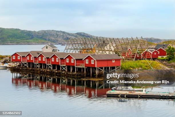 traditional rorbu, red wooden cabins with fish dryers for cod, svolvaer, austvågøya, lofoten, norway - svolvaer stock pictures, royalty-free photos & images