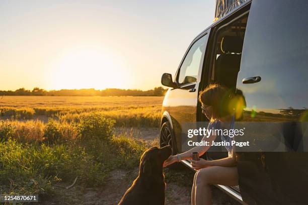 woman and her pet dog at sunset - dog camping stock pictures, royalty-free photos & images