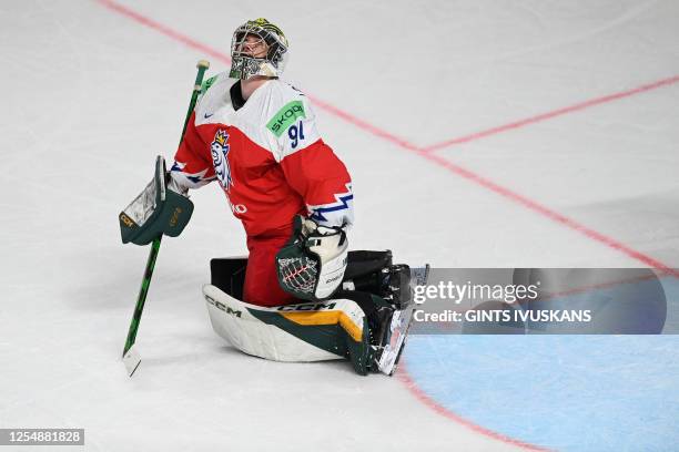 Czech Republic's goalkeeper Marek Langhamer is seen during the IIHF Ice Hockey Men's World Championships Preliminary Round - Group B match between...