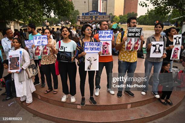 Activists from Vegan India Movement hold placards and shout slogans during a protest ''The Forgotten Mothers'' against animal cruelty and urging...