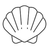 Shell thin line icon, ocean concept, shellfish shell sign on white background, seashell icon in outline style for mobile concept and web design. Vector graphics.