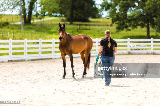 arabian horse ranch con trainer training horses photo series - trotto-andatura-animale foto e immagini stock