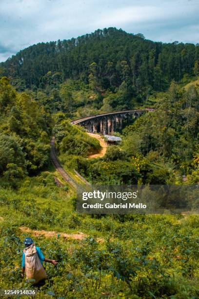 nine arch bridge in ella sri lanka - ninth foto e immagini stock