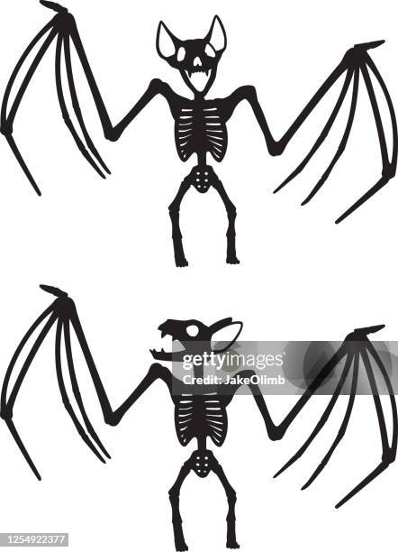 ilustraciones, imágenes clip art, dibujos animados e iconos de stock de bat skeleton silhouettes - esqueleto de animal