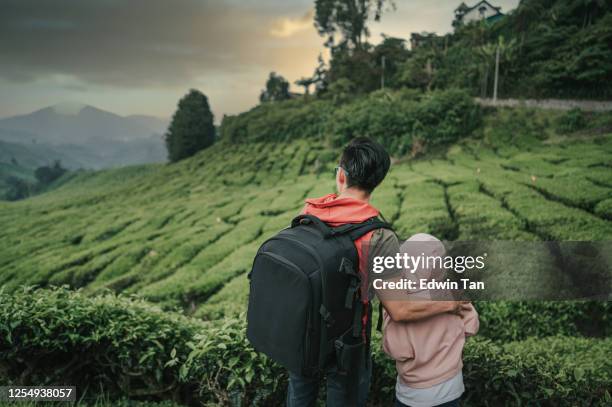 asian chinese tourist at cameron highland tea crop plantation enjoying the beauty of nature and freshness of air in the morning with his daughter - cameron highlands stock pictures, royalty-free photos & images