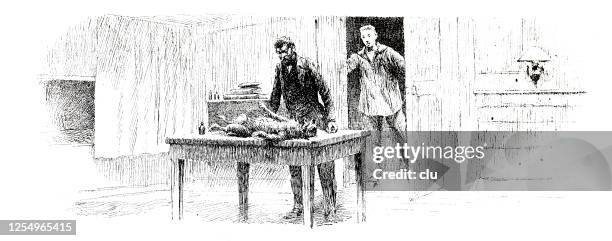 at the vet, dog lying on table - dog lying on back stock illustrations